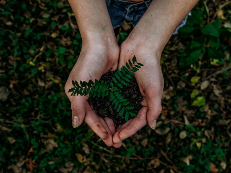 eco